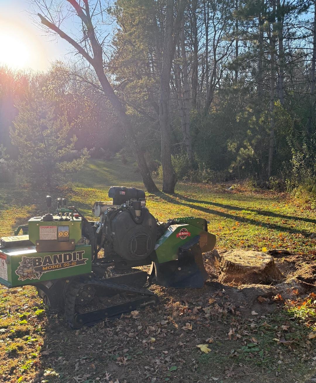 Bandit SG-40 stump grinder at work