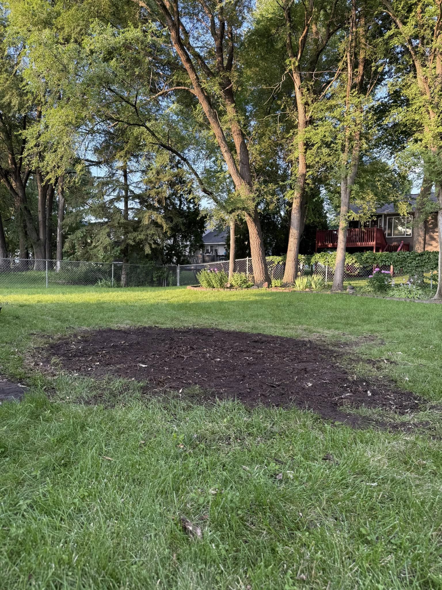 After stump grinding — clean yard result, Timber Ridge Stump Grinding Twin Cities