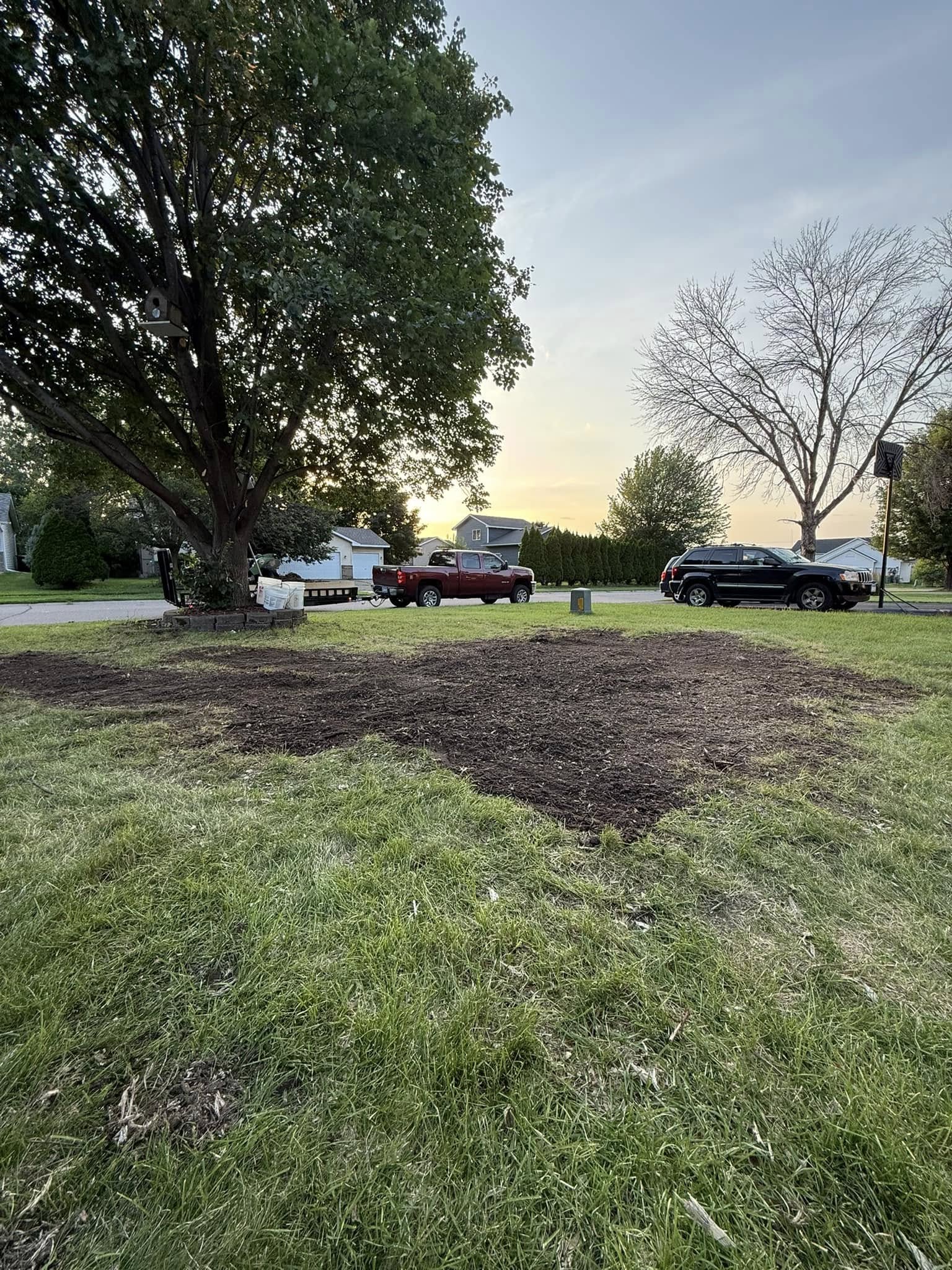 After stump removal — multiple stumps ground and area leveled, Timber Ridge